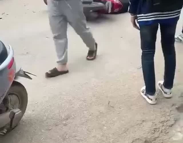 Video Telegram 13680