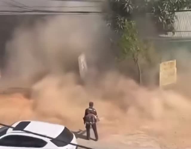 Lộc vào nhà như này không dám nhận đâu😐