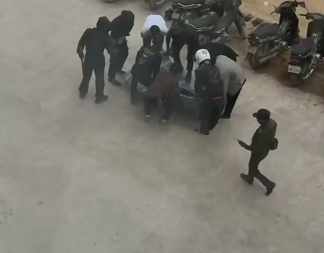 Video Telegram 13971